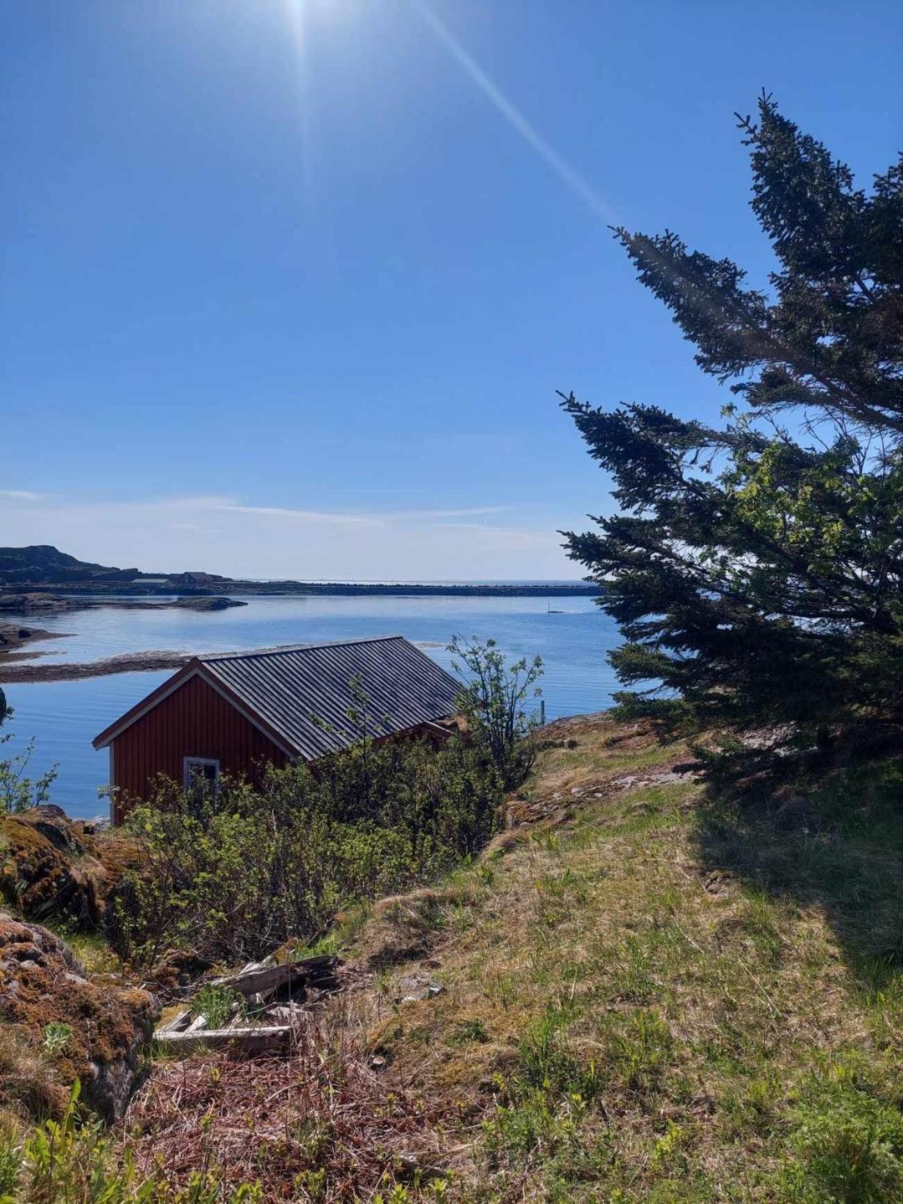 Moskenes Vacation Homes Esterno foto